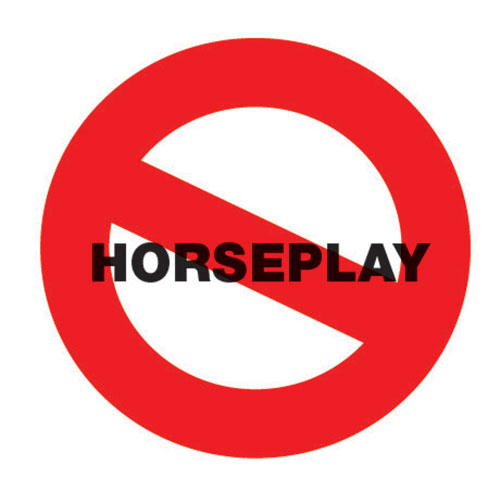 Essays on horseplay in the workplace