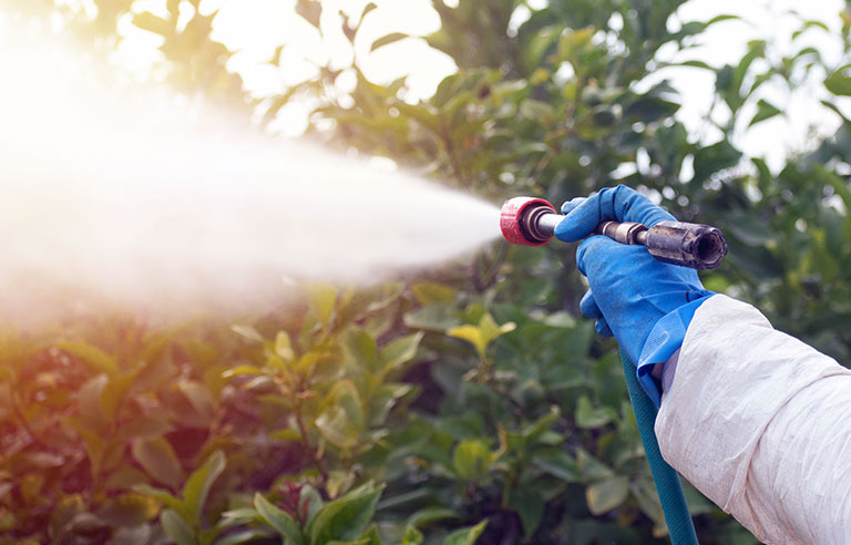 Spraying pesticide2