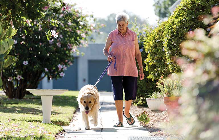 Dogwalking injuries on the rise among seniors, study