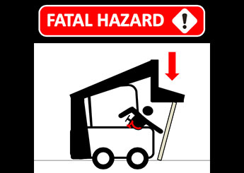 fatal hazard