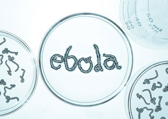 ebola-petri-dish