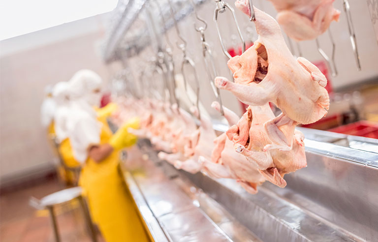 USDA to study whether faster poultry-processing line speeds harm workers