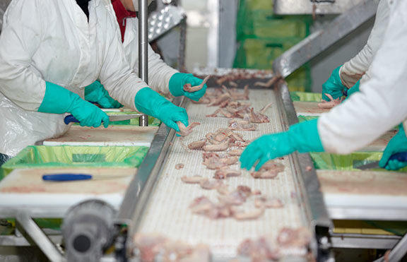 poultry processing