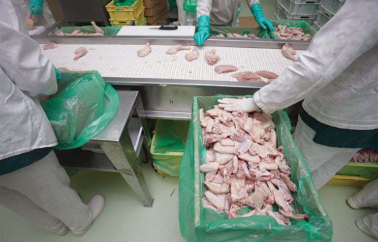 poultry-processing.jpg
