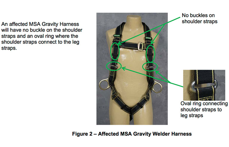 harness.jpg