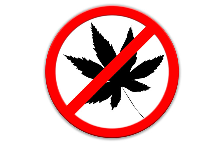 no-cannabis.jpg
