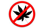 no cannabis