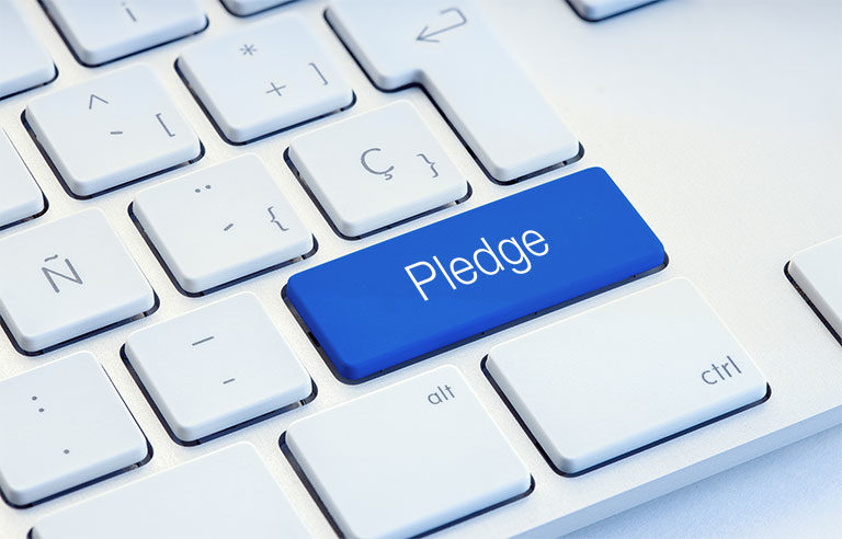 Pledge computer keyboard