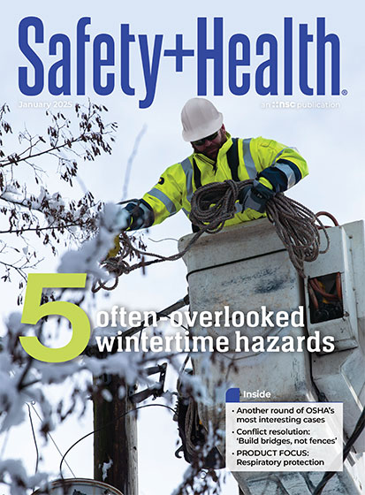 Issue 20250101