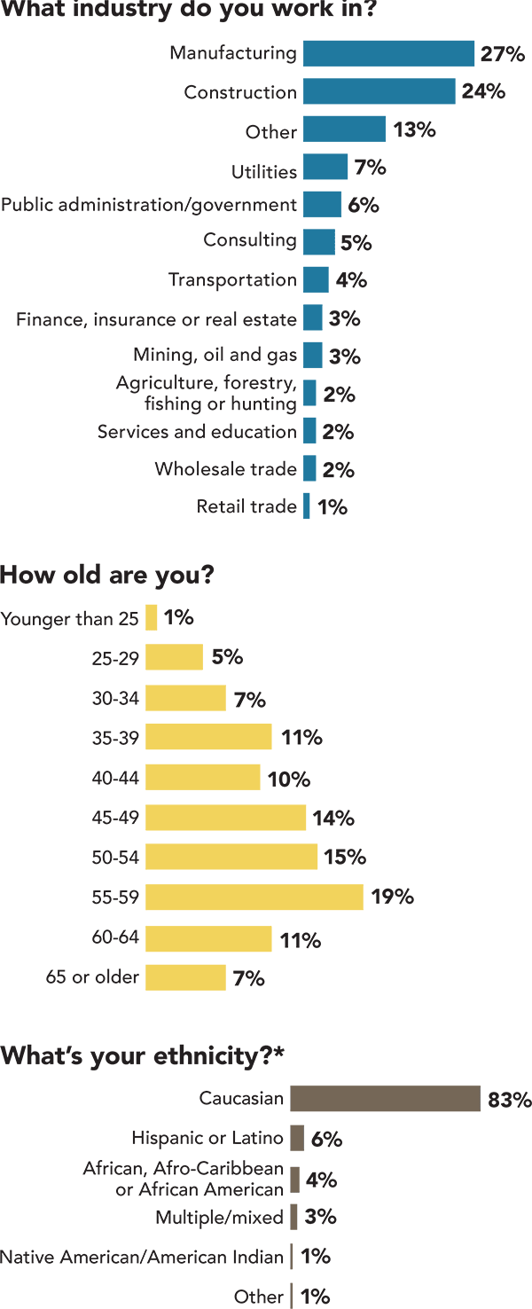 Salary Survey: Industry, age, ethnicity