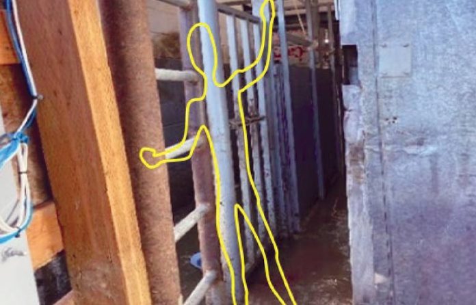 71_262_2025s_SlaughterhouseDoorCrushSlideshow-6.jpg