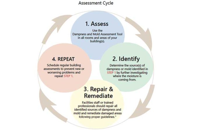 Assessment cycle