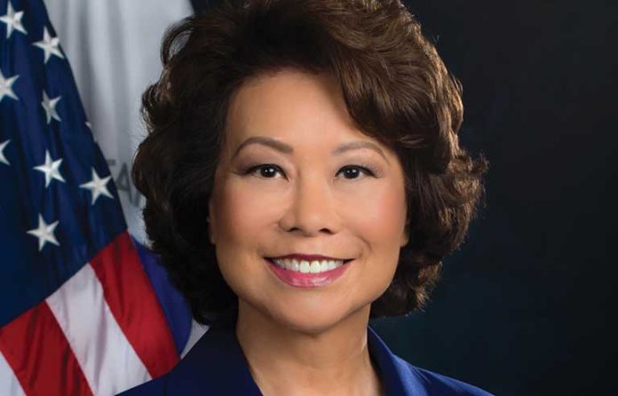 Elaine Chao
