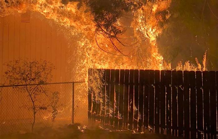 Fence-fire.jpg