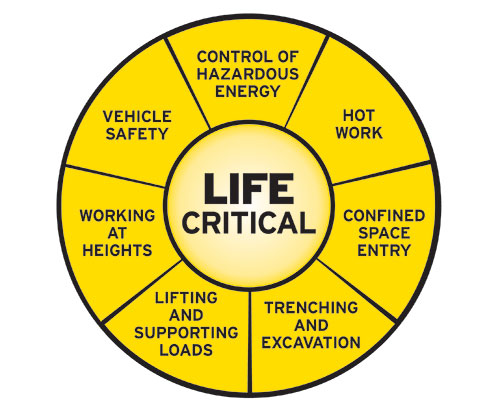 Life Critical Standards