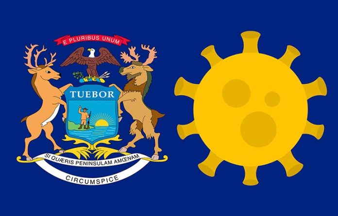 Michigan-State-flag