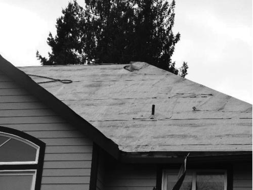 RooferFallsFromWetRoof.jpg