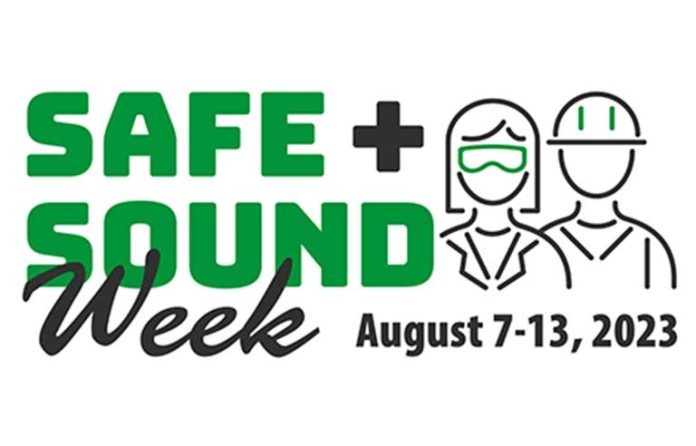 Safe+Sound-2023.jpg