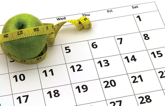 apple diet plan