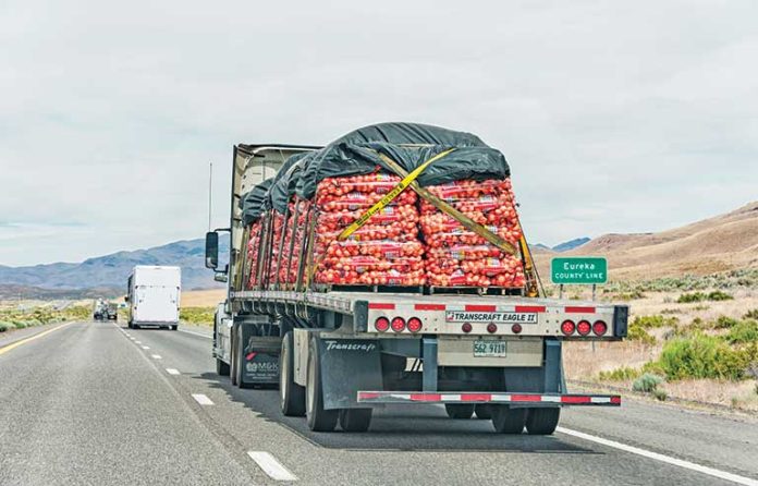 back-of-semi-truck