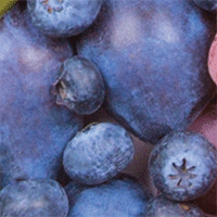 Eat the rainbow: Blue