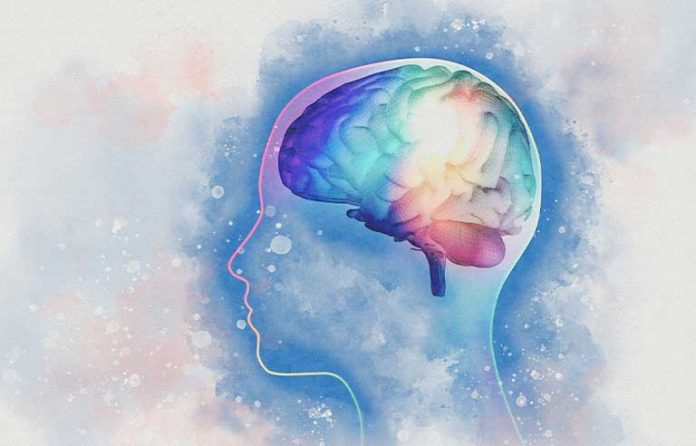 brain.jpg