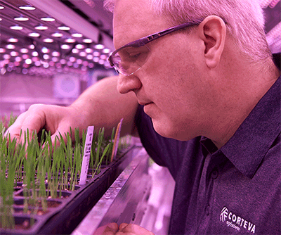 Corteva propogation chamber