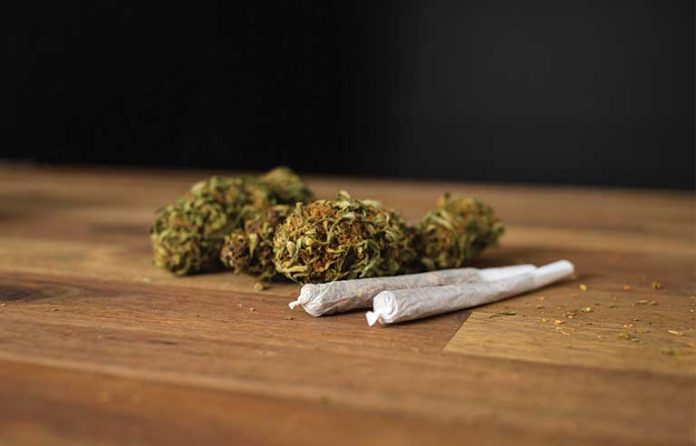 cannabis-plant.jpg