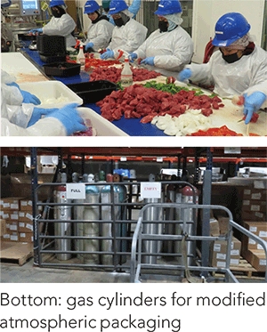 Bottom: gas cylinders for modified atmospheric packaging