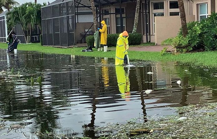 clean-up-workers.jpg