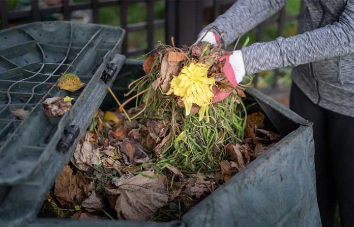composting.jpg