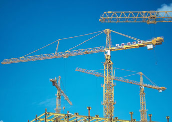 cranes 021214