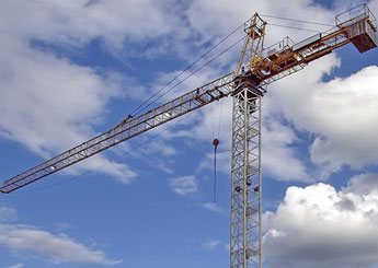 crane