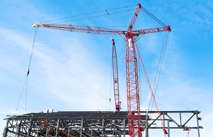 cranes.jpg