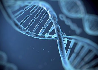 DNA