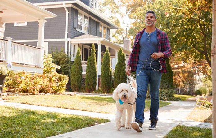 dog-walking.jpg