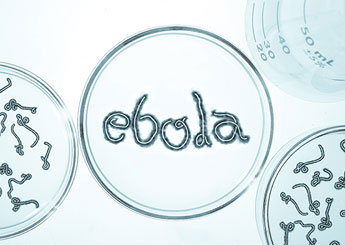 ebola