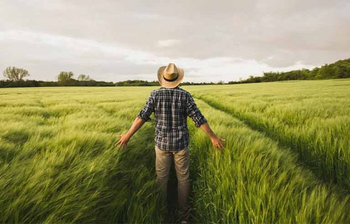 farmer