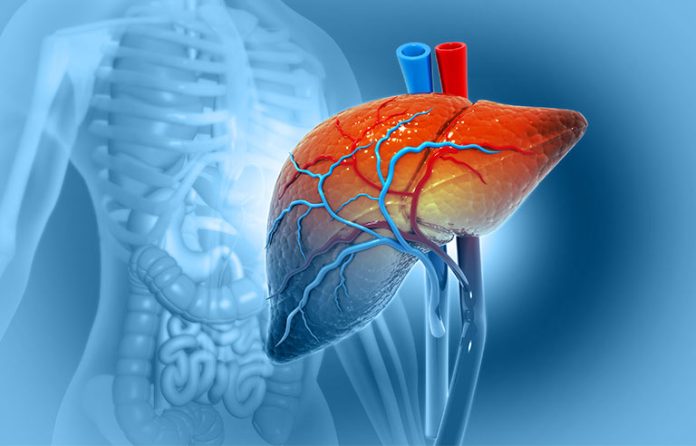 fatty-liver.jpg