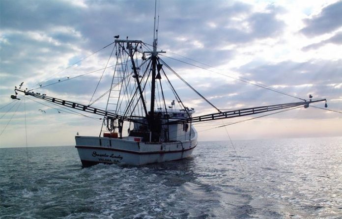 florida shrimper