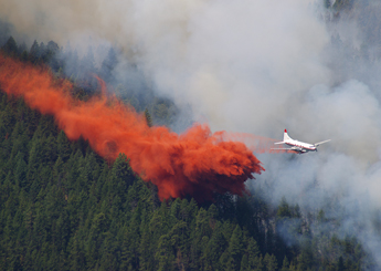 Forest firefighting