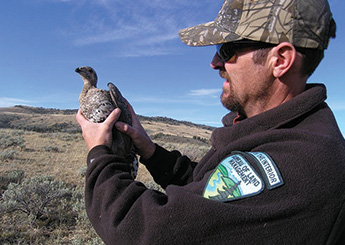forest range worker