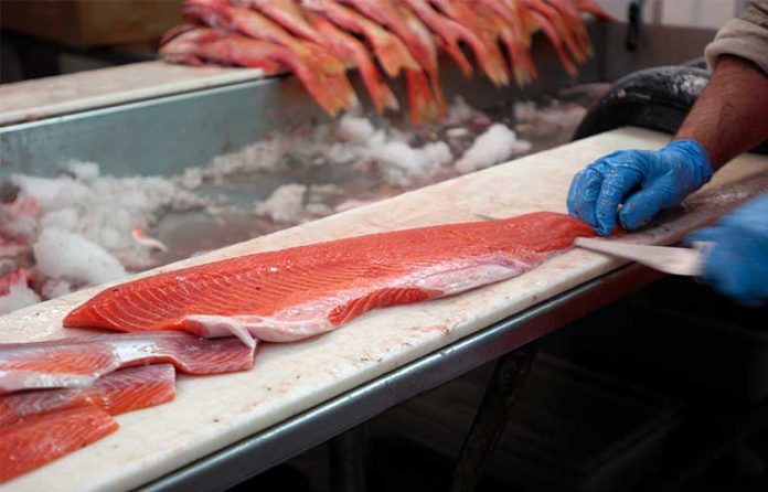 fresh-salmon