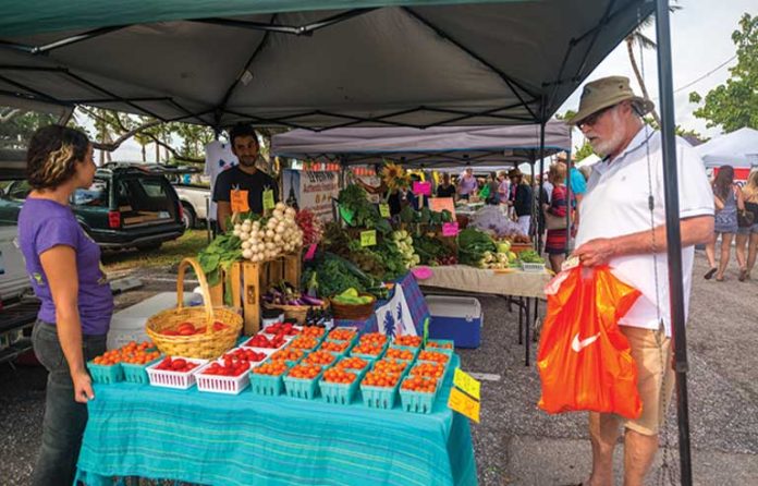 fsh.spring24.qtFarmerMkt.jpg