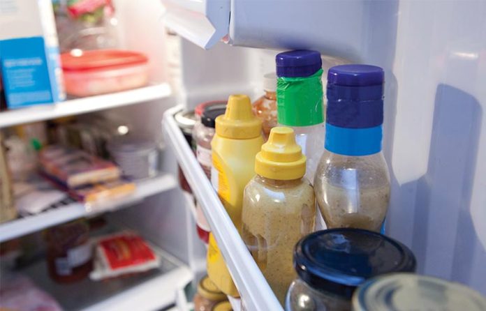 fshfall20qtfridge.jpg