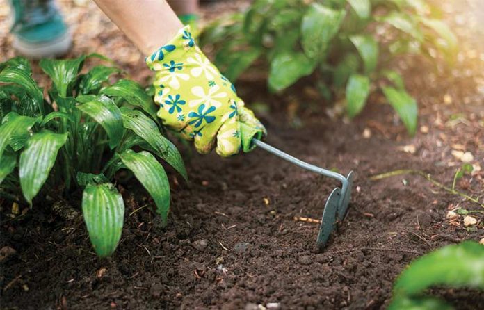 gardening