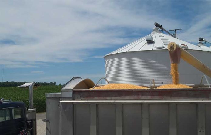 grain-bin