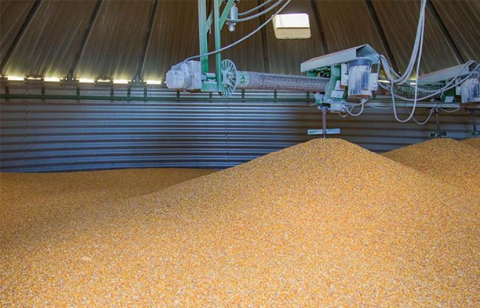 grain-bin