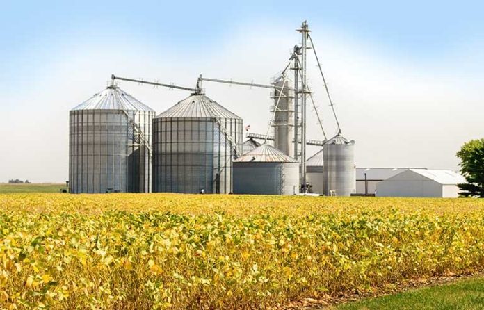 grain-bins.jpg