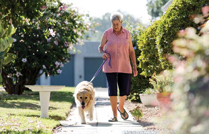 lady walking the dog